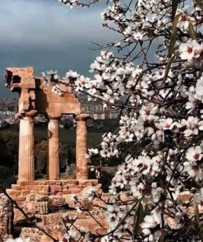 Alfa Quadro Agrigento